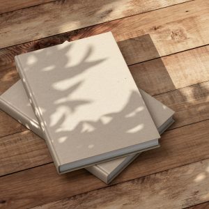 Building the Perfect Story Arc: From Hook to Resolution